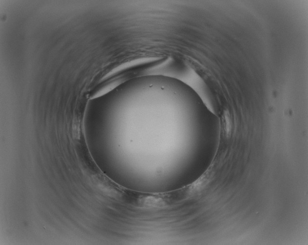 X0000070360180200606231631