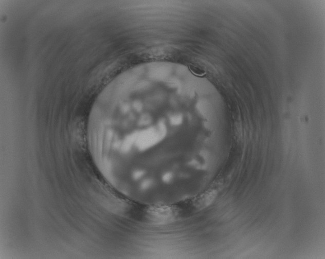 X0000070360181200606231631