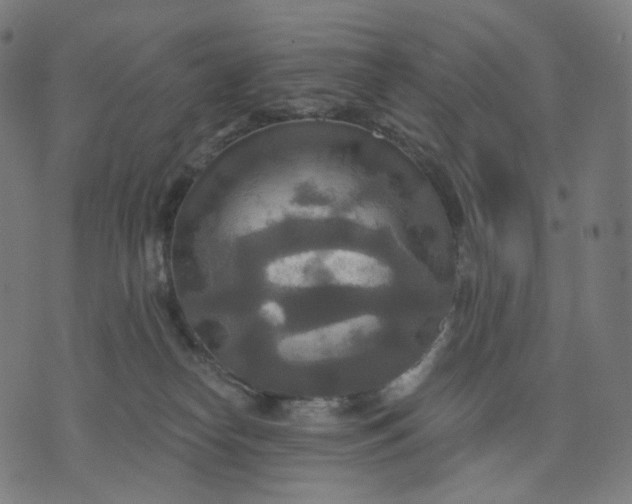 X0000070360182200606231631