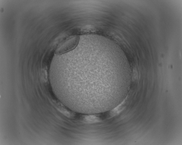 X0000070360183200606231631