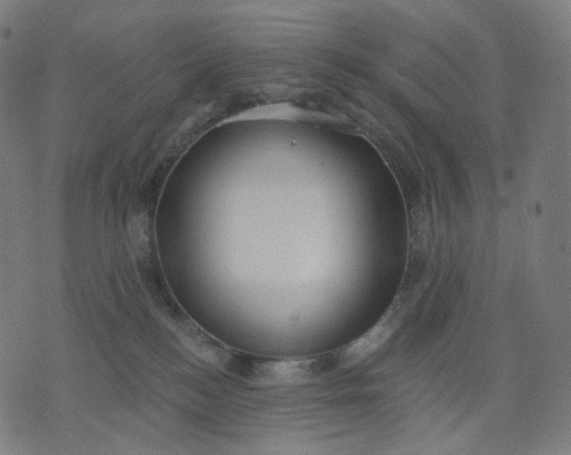 X0000070360184200606231631