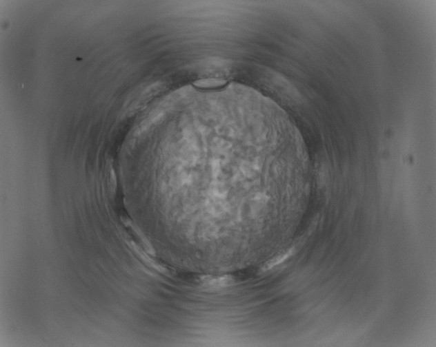 X0000070360185200606231631