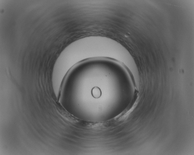 X0000070360186200606231631