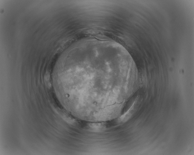 X0000070360187200606231631