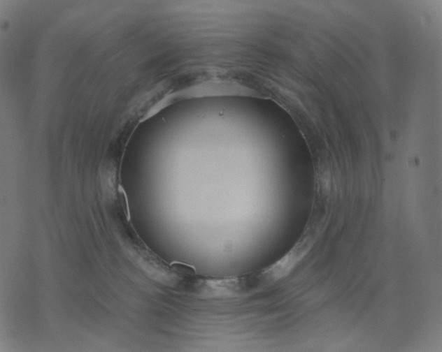 X0000070360188200606231631