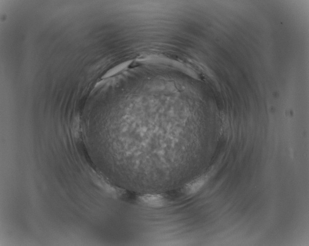 X0000070360189200606231631