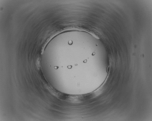 X0000070360190200606231631