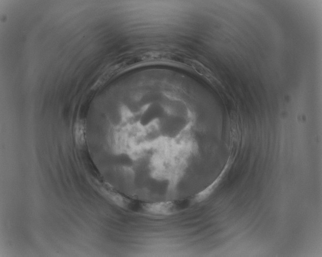 X0000070360191200606231631