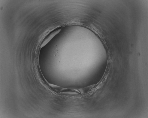 X0000070360193200606231631