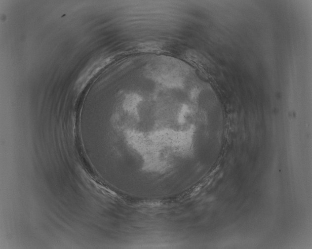 X0000070360194200606231631