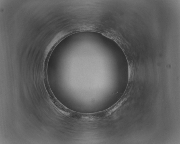 X0000070360195200606231631