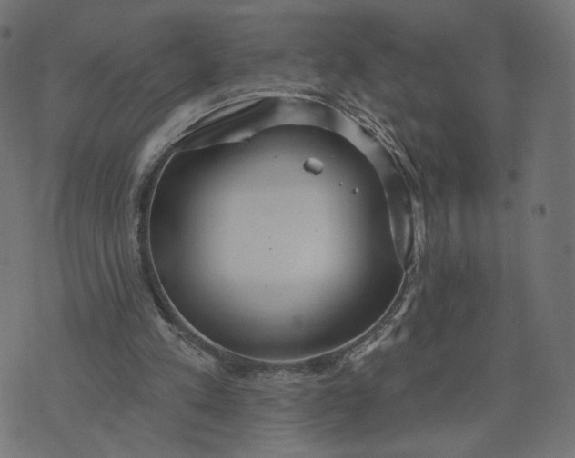 X0000070360197200606231631