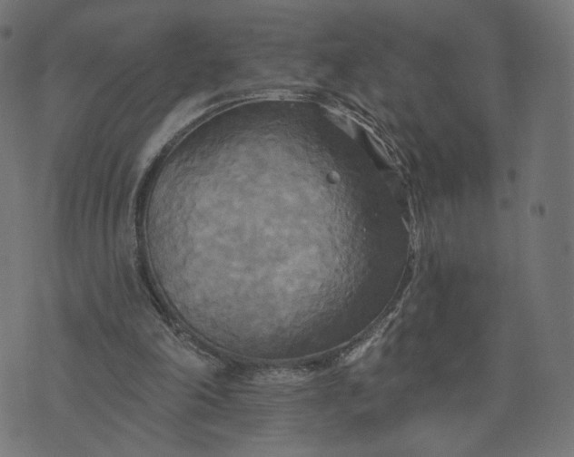 X0000070360198200606231631