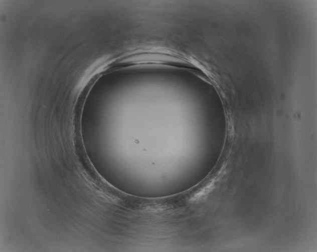 X0000070360199200606231631