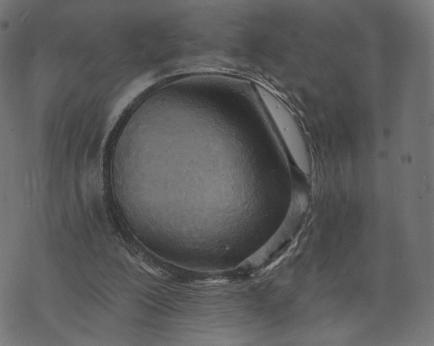 X0000070360200200606231631