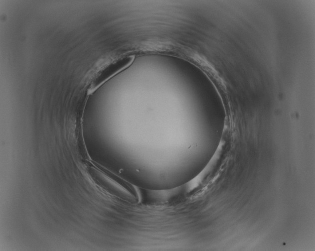 X0000070360201200606231631