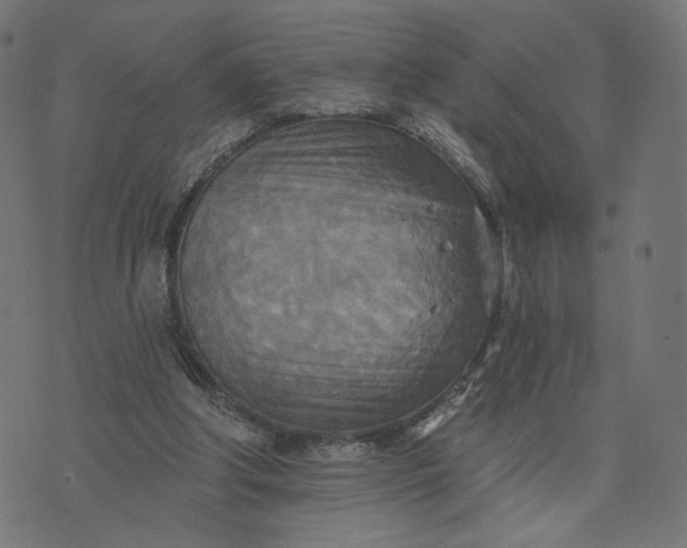 X0000070360202200606231631