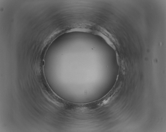 X0000070360203200606231631