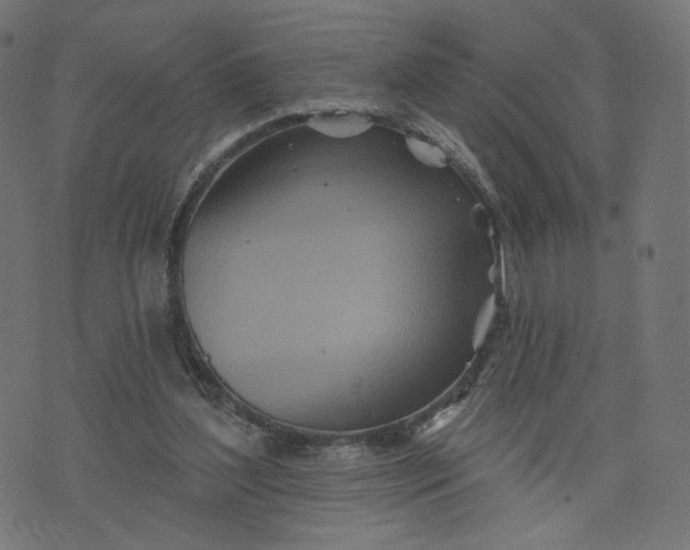 X0000070360204200606231631