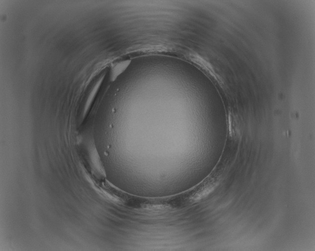 X0000070360205200606231631