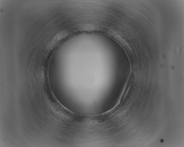 X0000070360207200606231630