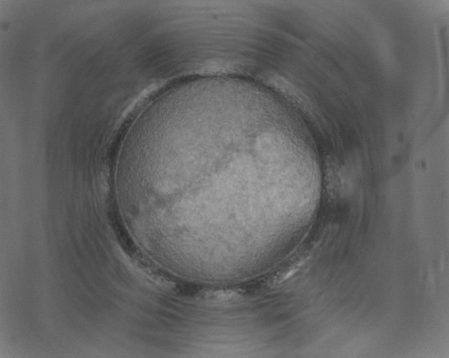 X0000070360208200606231630