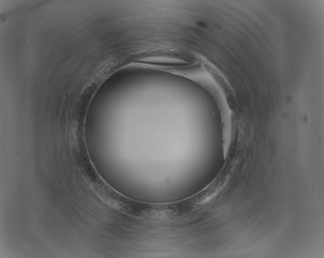 X0000070360209200606231630