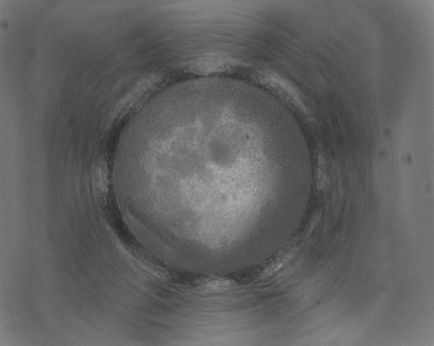 X0000070360210200606231630