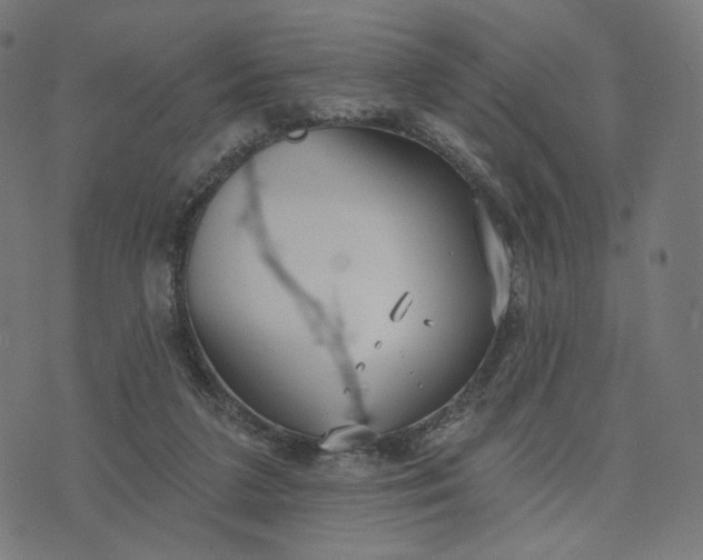 X0000070360211200606231630