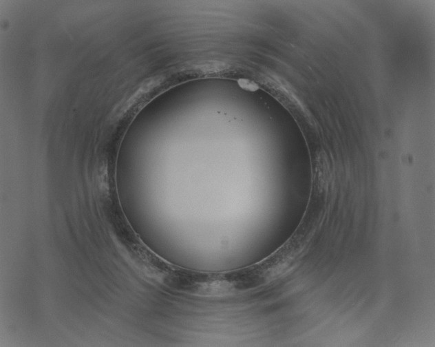 X0000070360212200606231630