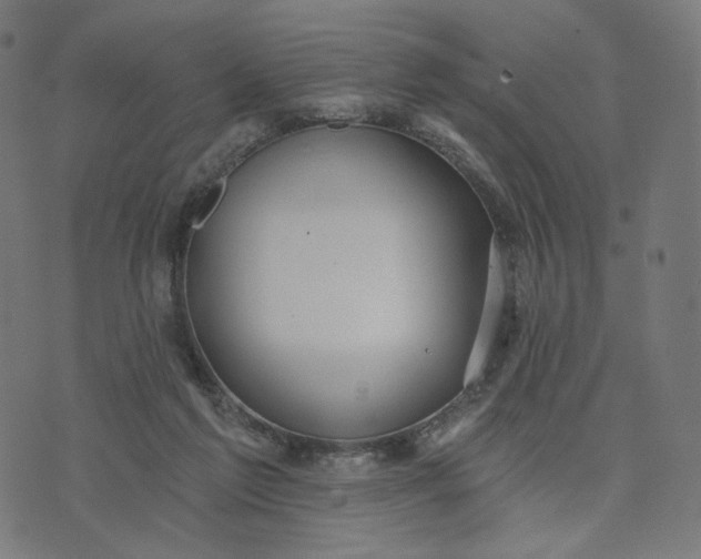 X0000070360213200606231630