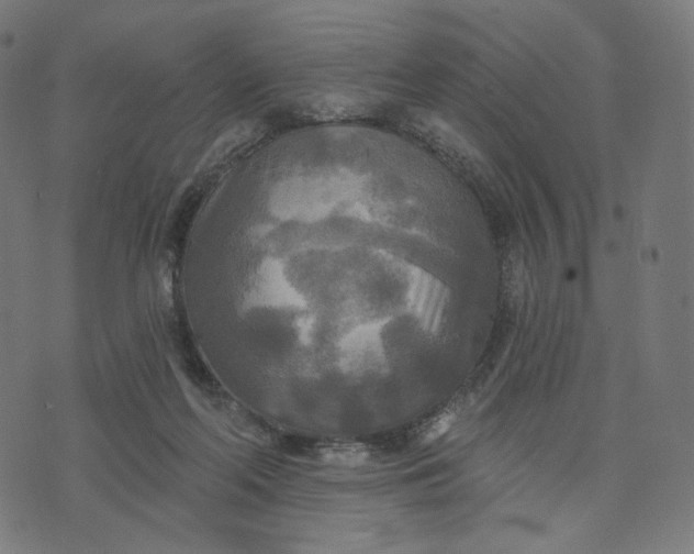 X0000070360214200606231630