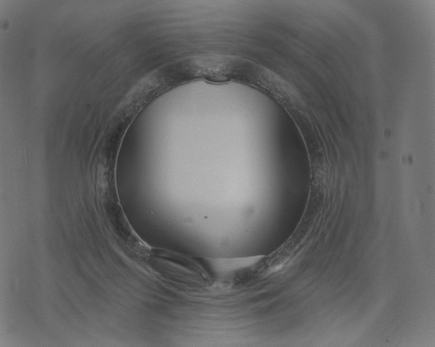 X0000070360215200606231630