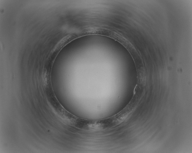 X0000070360216200606231630