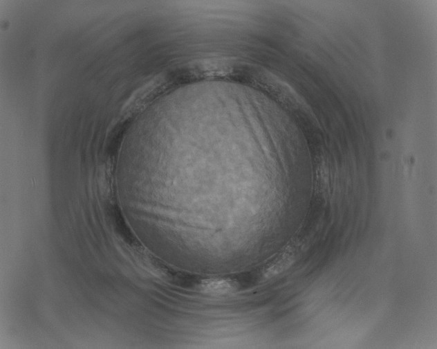 X0000070360218200606231630