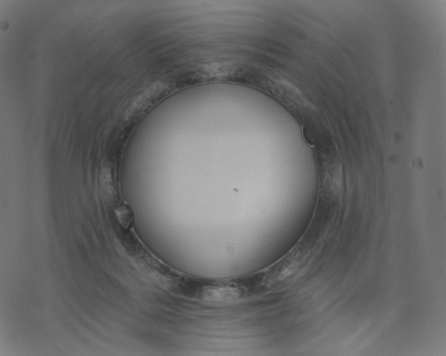 X0000070360220200606231630