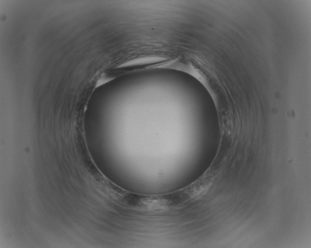 X0000070360221200606231630