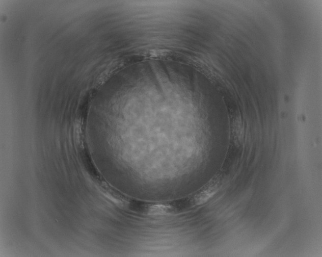 X0000070360222200606231630