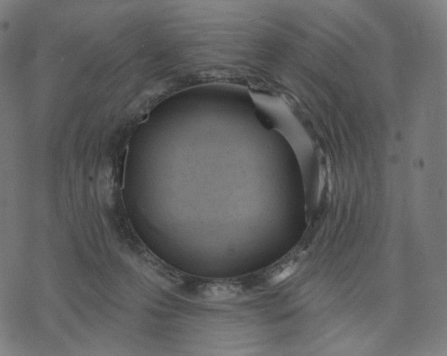 X0000070360223200606231630