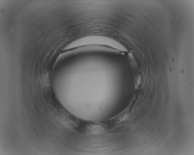 X0000070360224200606231630