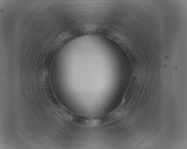 X0000070360225200606231630