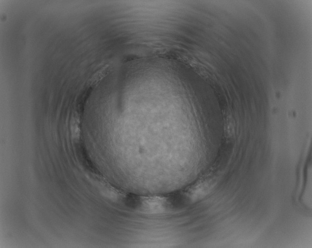 X0000070360226200606231630