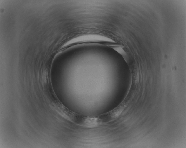 X0000070360227200606231630