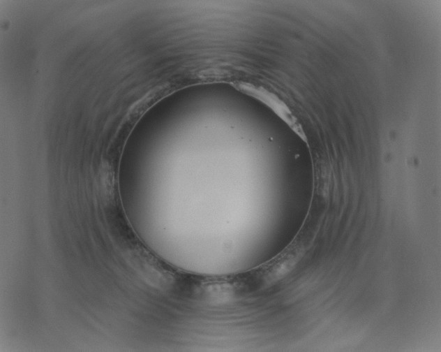 X0000070360228200606231630