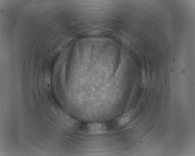 X0000070360230200606231630