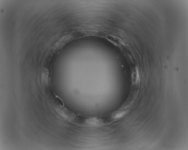 X0000070360231200606231630