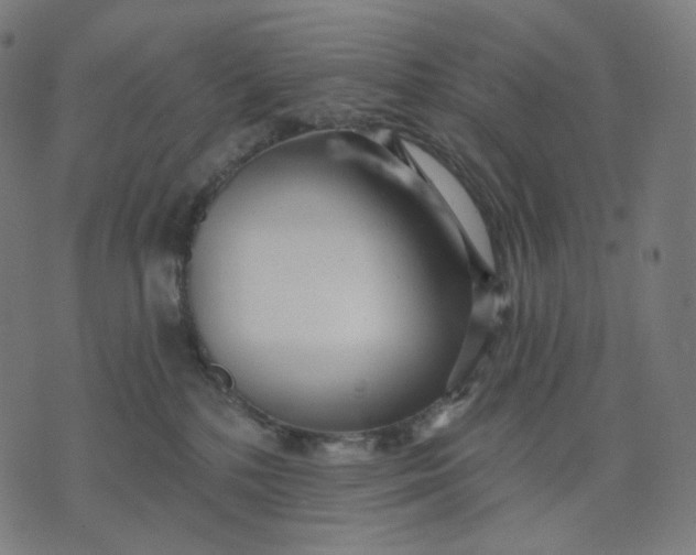 X0000070360232200606231630