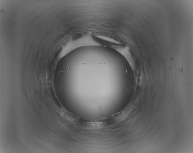 X0000070360233200606231630