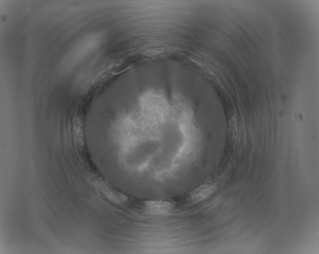 X0000070360234200606231630