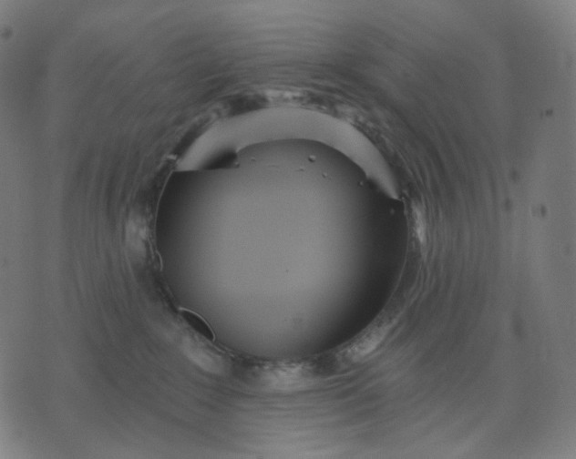 X0000070360235200606231630